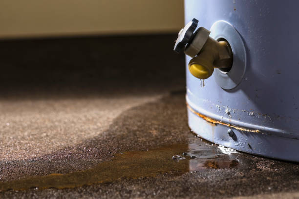 Best 24/7 water damage repair  in South Miami Heights, FL