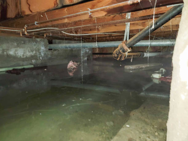 Local water damage restoration in South Miami Heights, FL