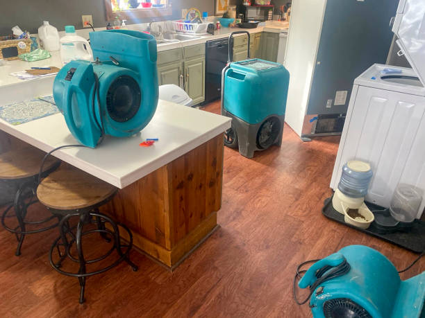 Best Basement water damage restoration  in South Miami Heights, FL