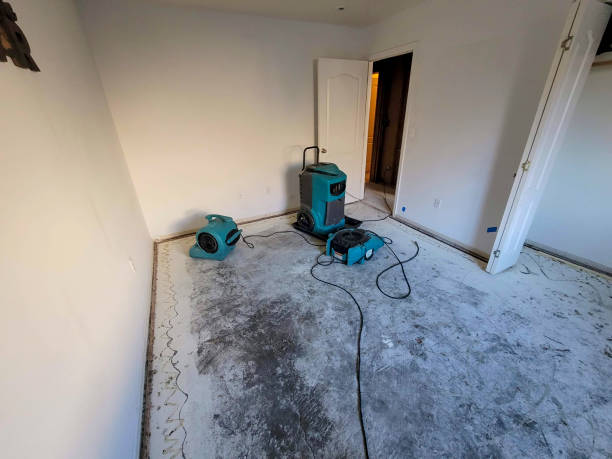 Best Ceiling water damage repair  in South Miami Heights, FL