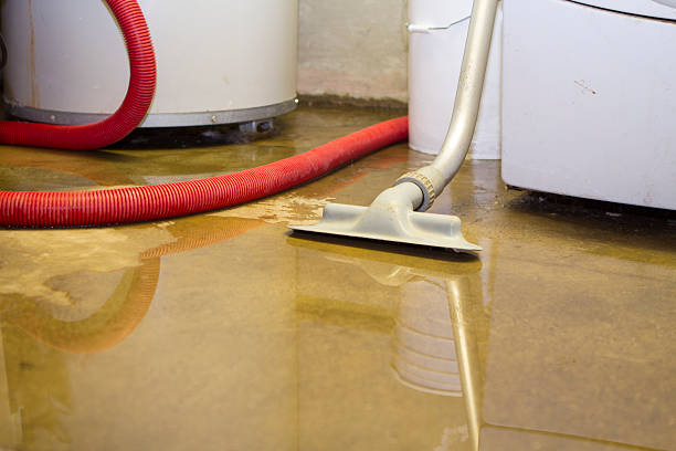 Best Flood damage cleanup  in South Miami Heights, FL