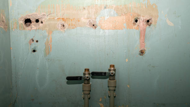 Best Water damage cleanup near me  in South Miami Heights, FL