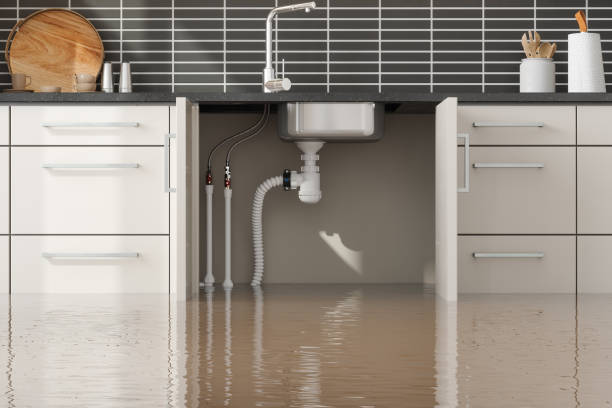 Water damage restoration experts in South Miami Heights, FL