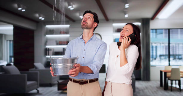 Best Emergency water damage restoration  in South Miami Heights, FL