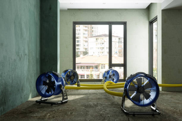Best Emergency water damage restoration  in South Miami Heights, FL