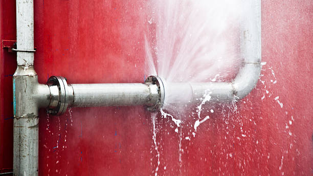 Best Mold removal after water damage  in South Miami Heights, FL