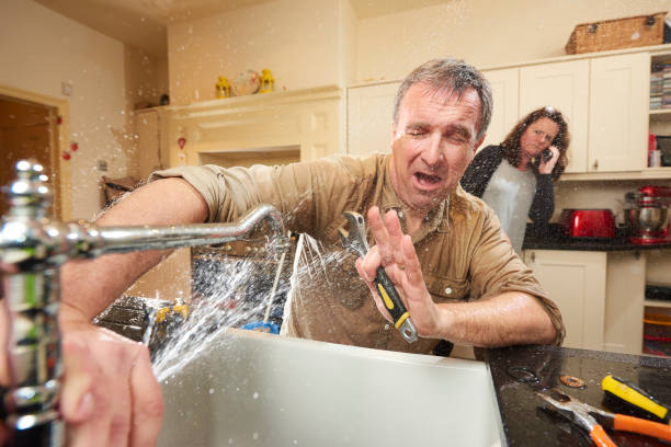Best Water damage contractors near me  in South Miami Heights, FL